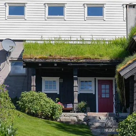 Flotunet - Anestova Ferienhaus *