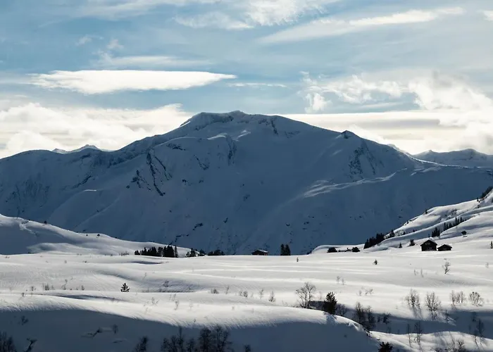 Prázdninový dům Flotunet - Anestova *